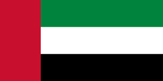 Dubai flag